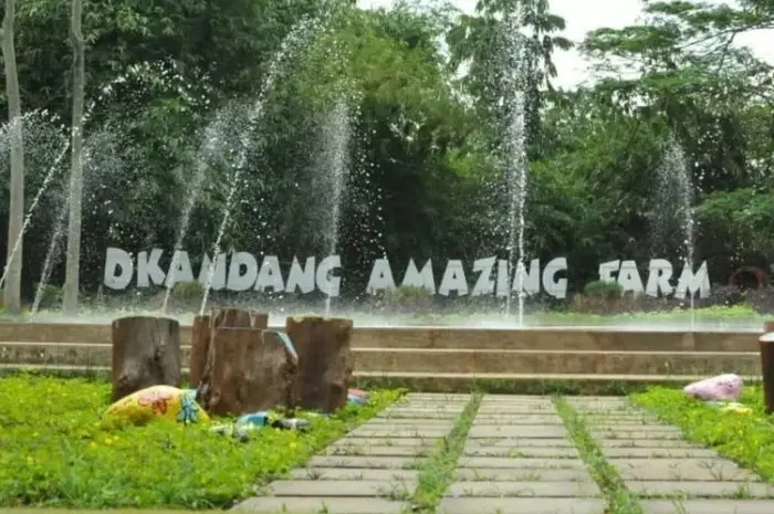 D’Kandang Amazing Farm, Wisata Edukasi Keluarga di Depok yang Menyenangkan