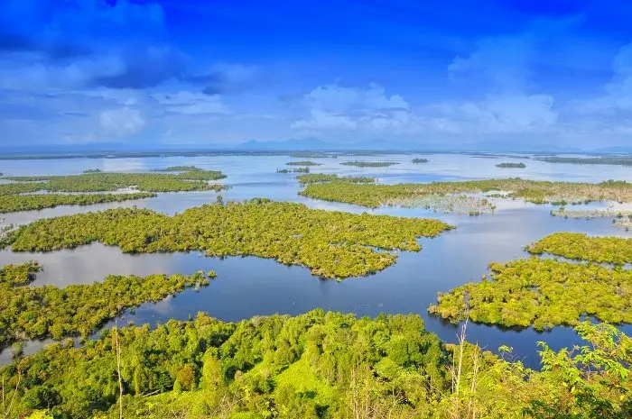 Danau Sentarum, Danau Eksotis dengan Flora dan Fauna Unik di Kapuas Hulu